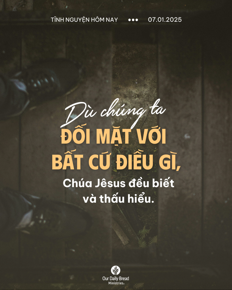 Share ODB 2025-01-08