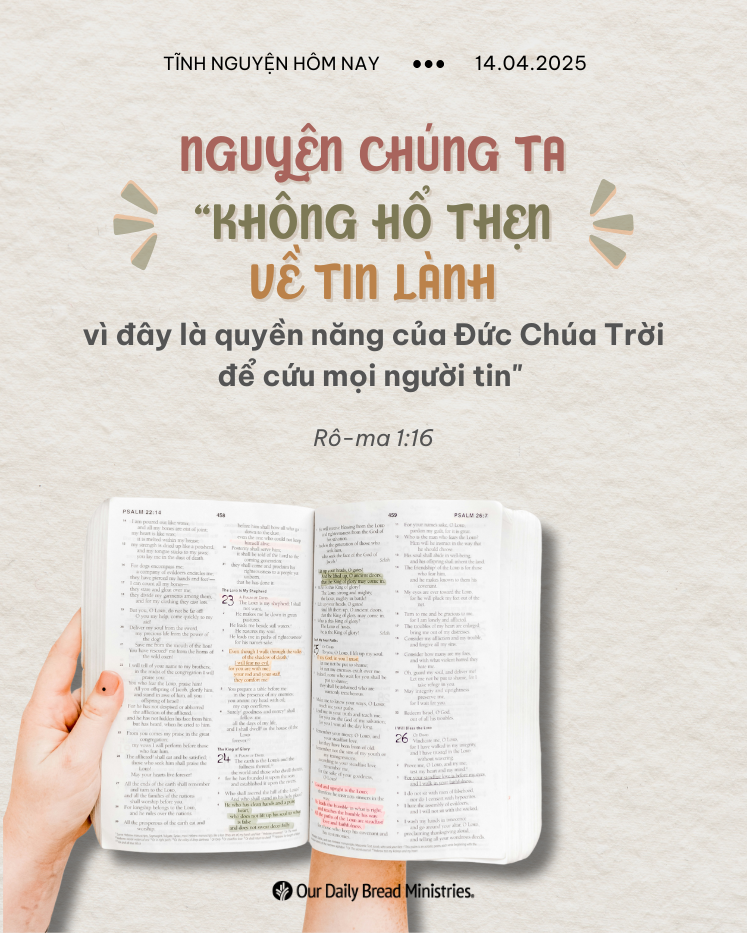 share odb 2025-04-14