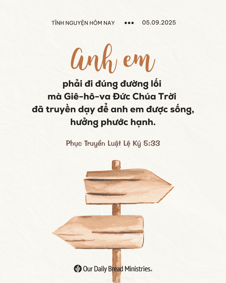 share odb 2025-09-05
