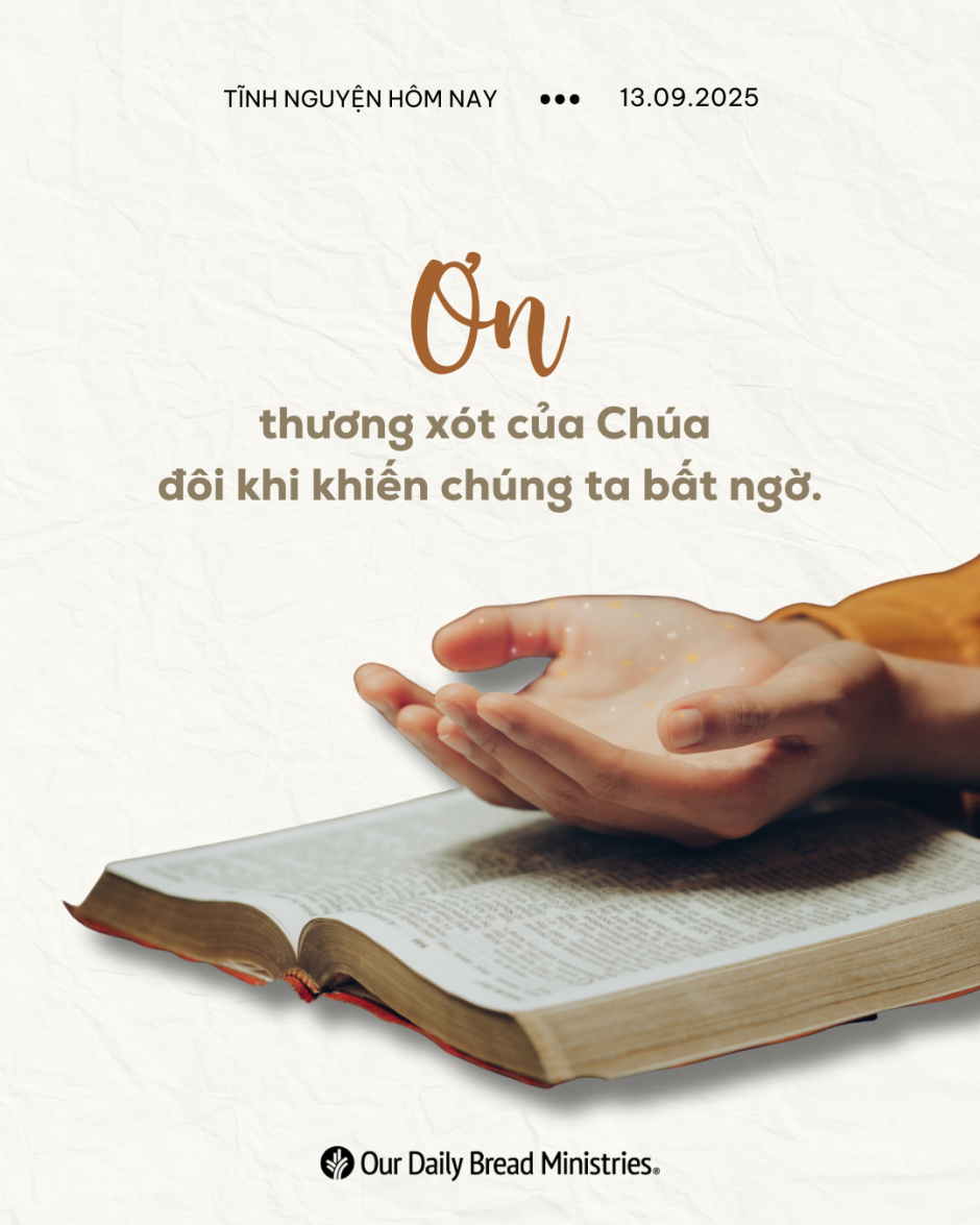share odb 2025-09-13