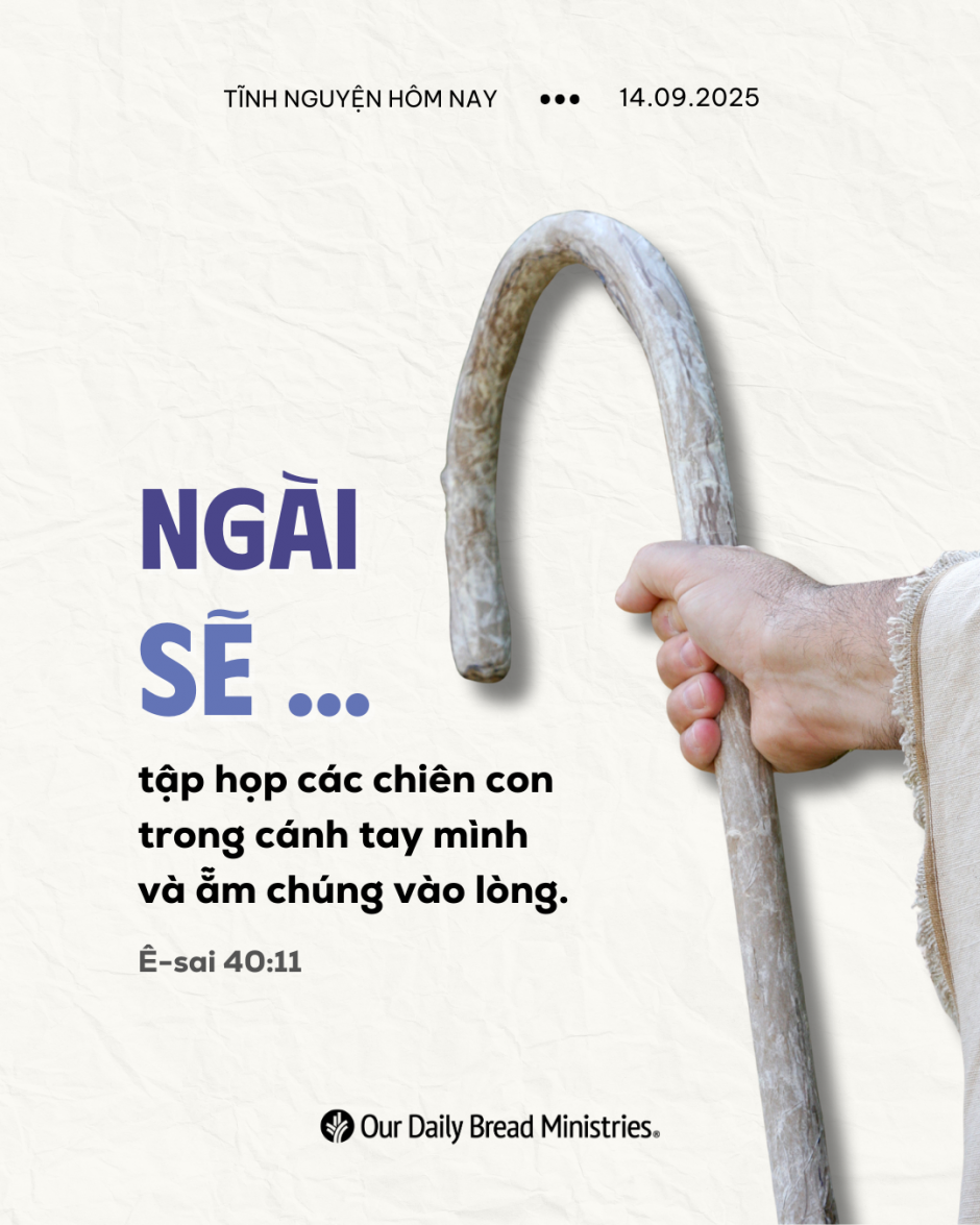 share odb 2025-09-14