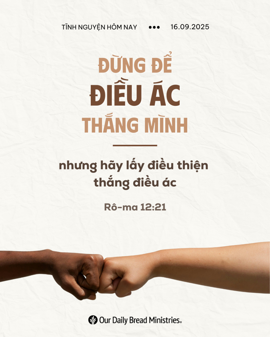 share odb 2025-09-16