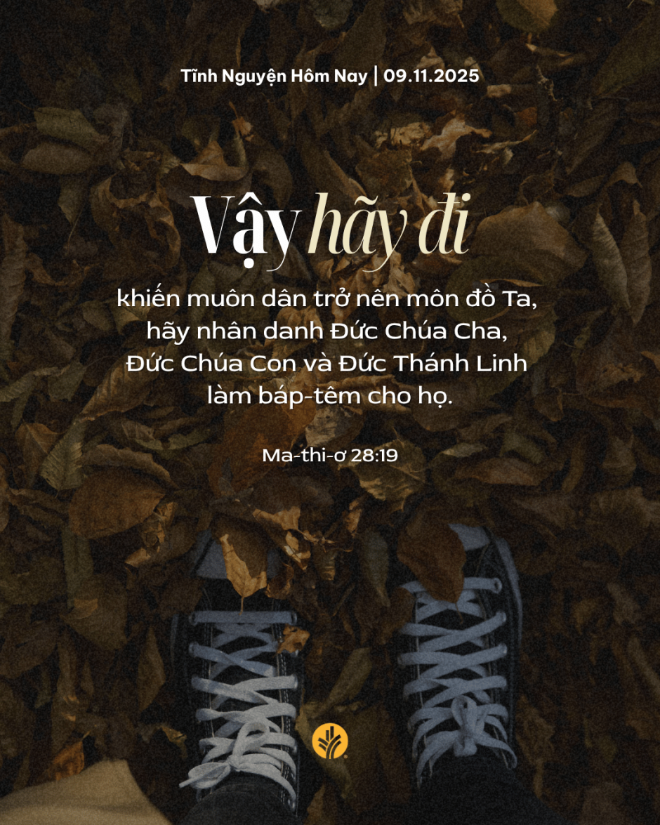 share odb 2025-11-09