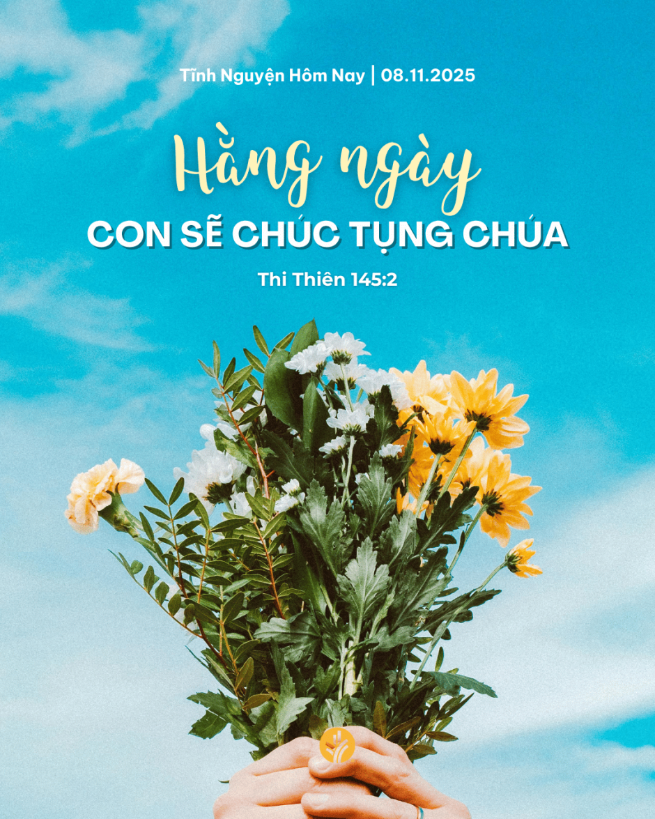 share odb 2025-11-08