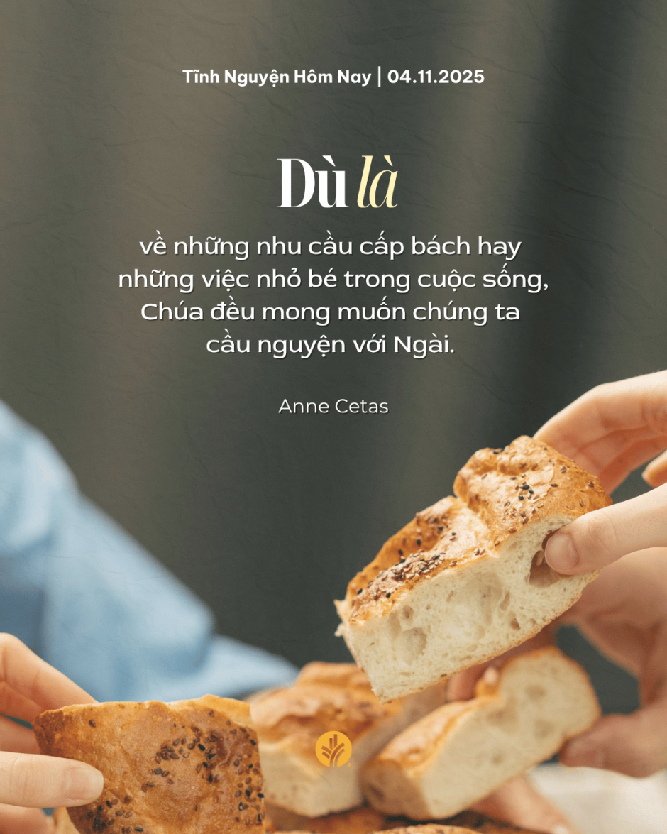 share odb 2025-11-04