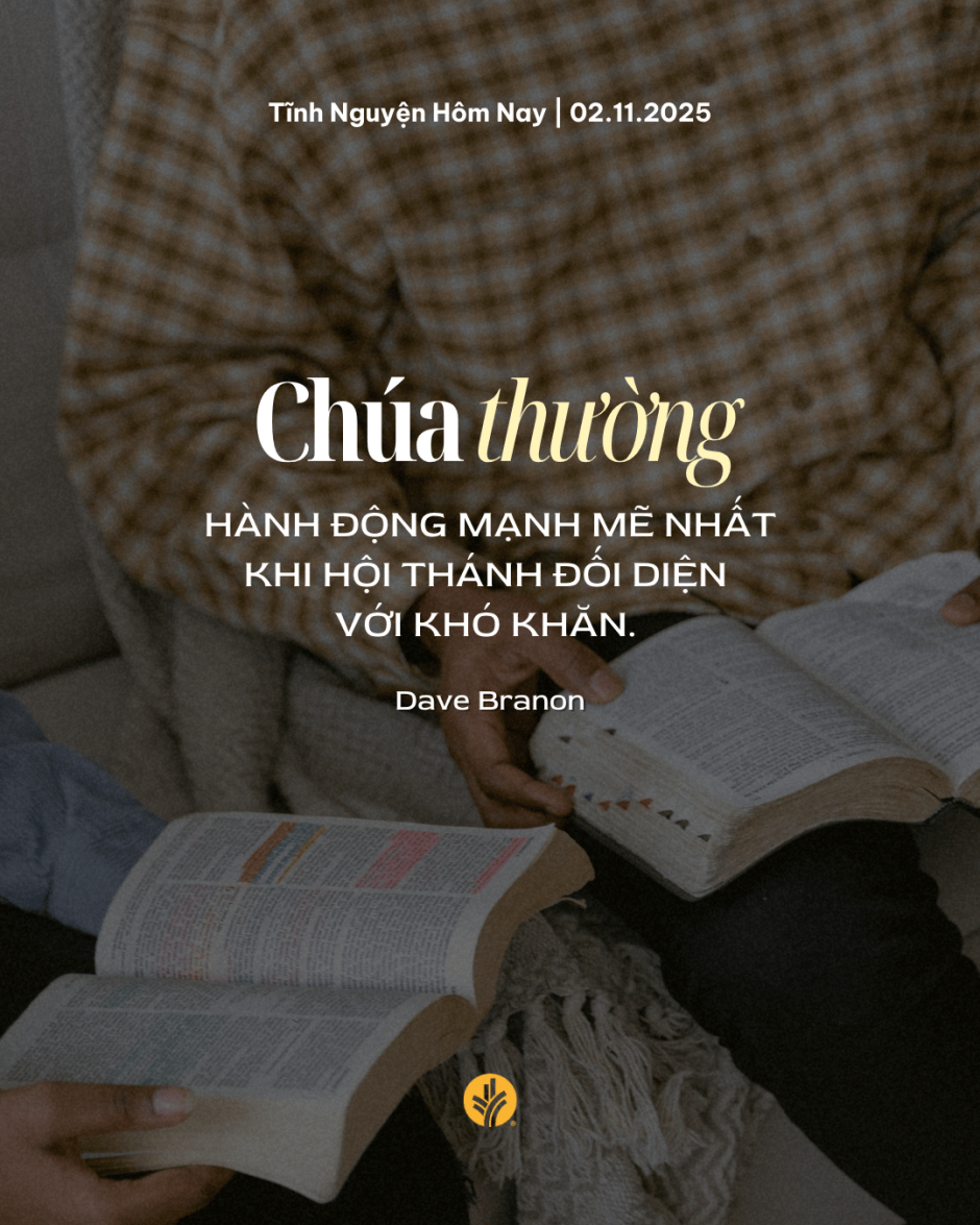 share odb 2025-11-02