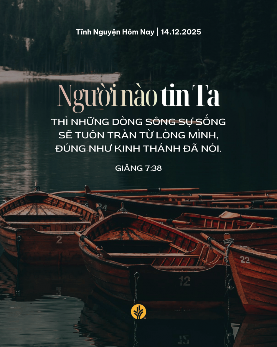 share odb 2025-12-14