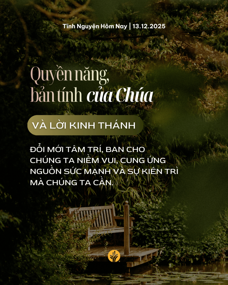 share odb 2025-12-13