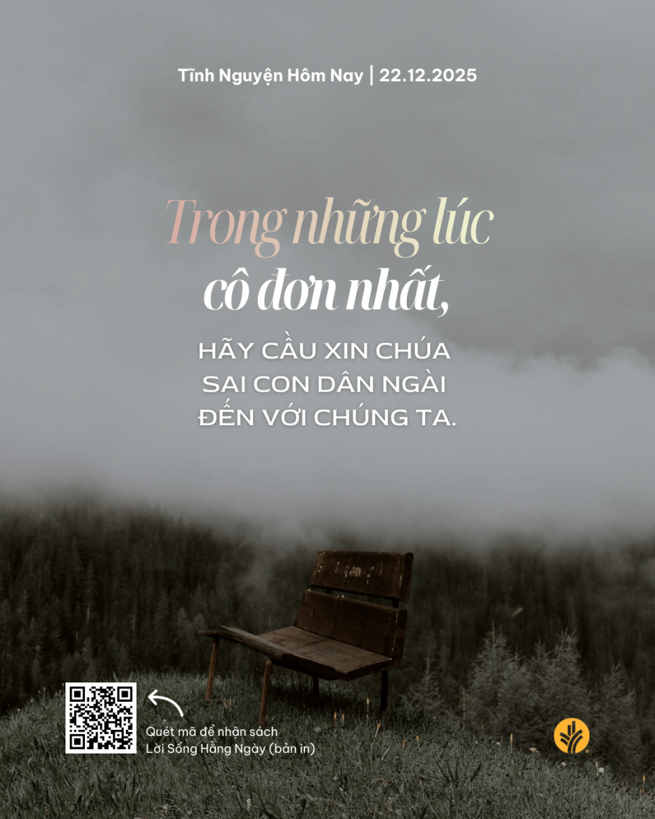 share odb 2025-12-22