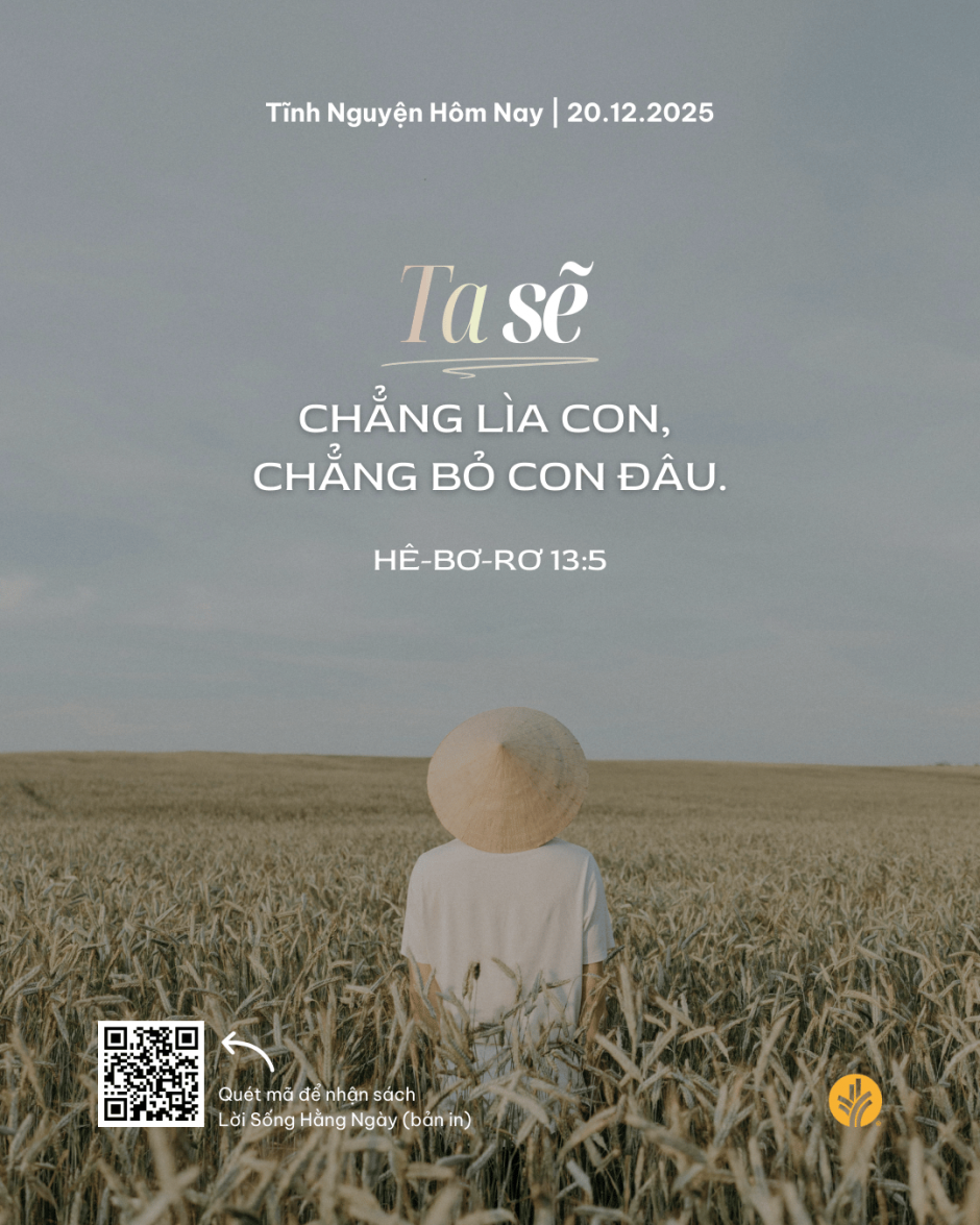 share odb 2025-12-20