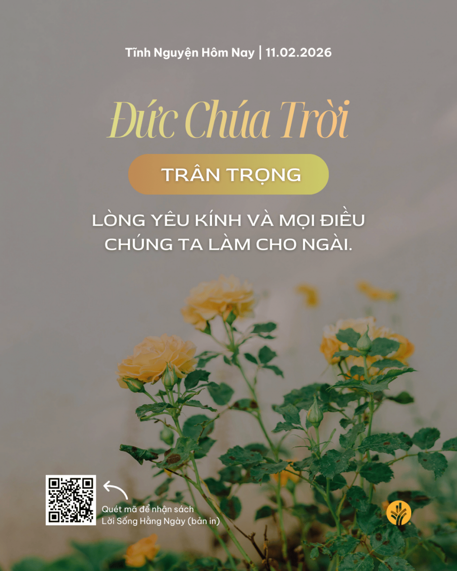 share odb 2026-02-11