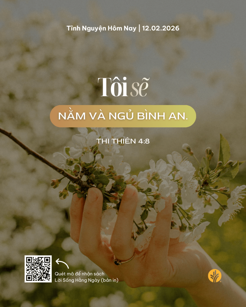 share odb 2026-02-12