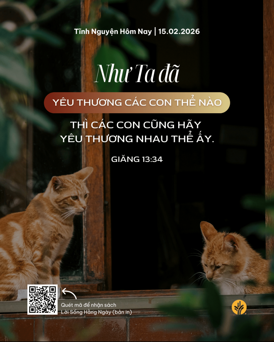 share odb 2026-02-15