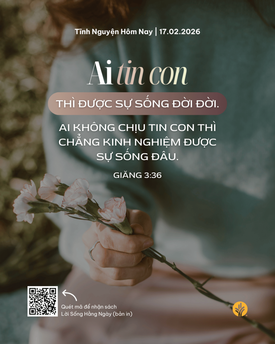 share odb 2026-02-17