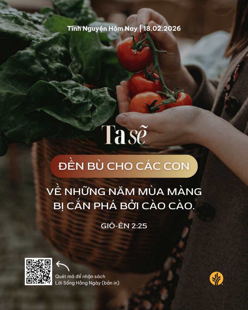 share odb 2026-02-18