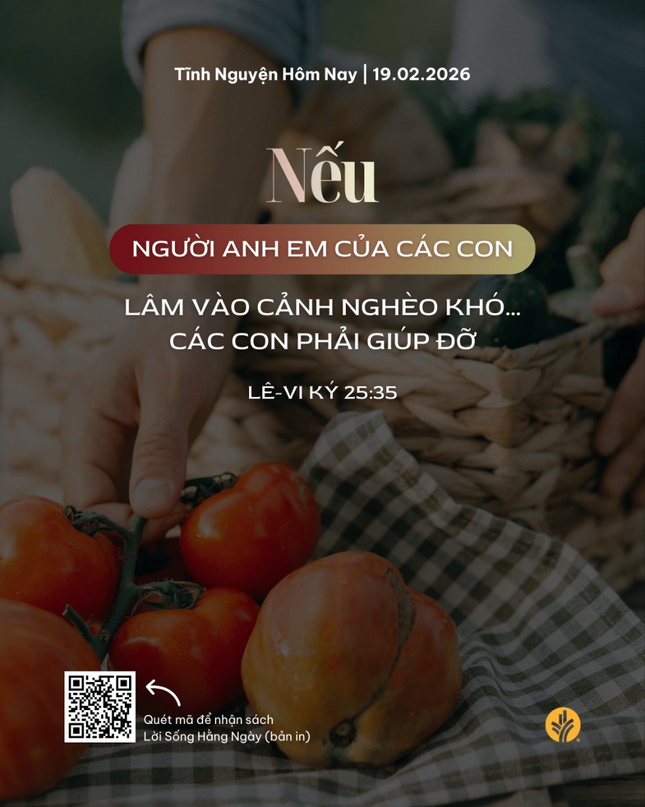 share odb 2026-02-19