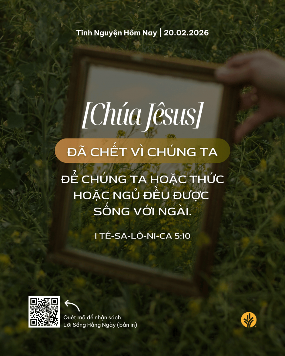 share odb 2026-02-20