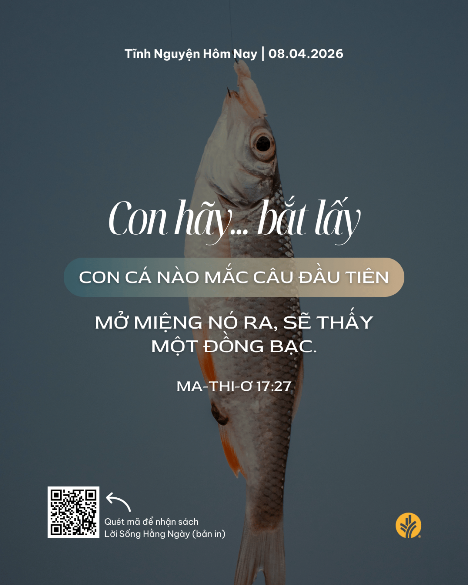 share odb 2026-04-08