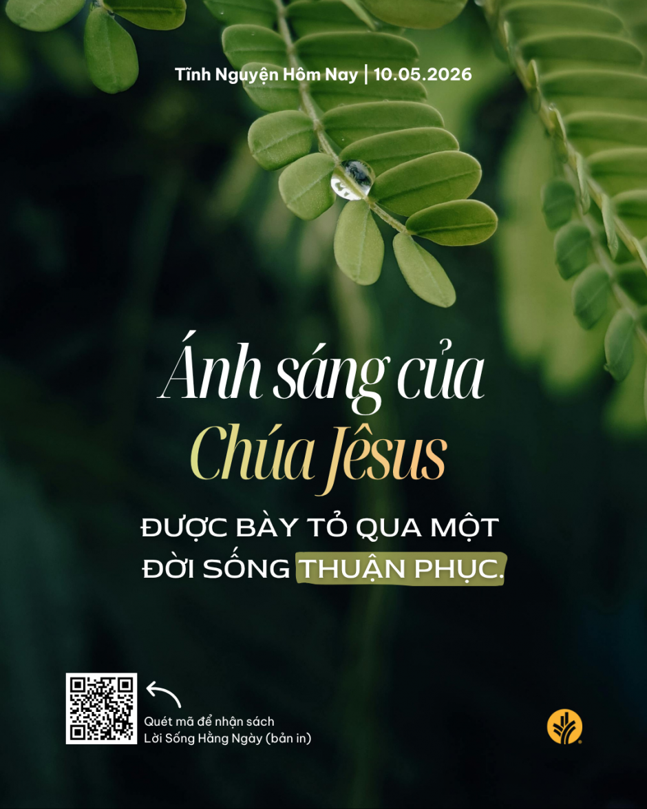 share odb 2026-05-10 share odb 2026-05-10