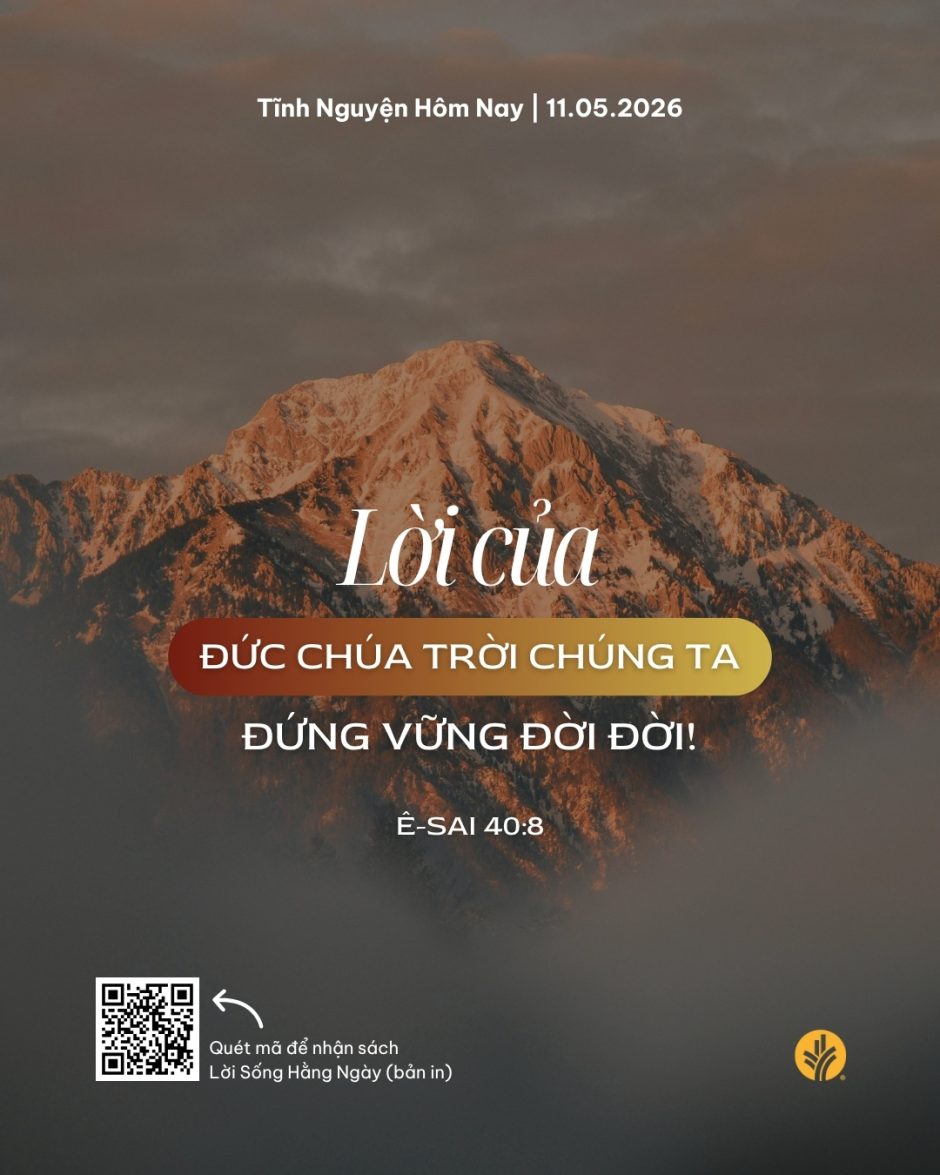 share odb 2026-05-11