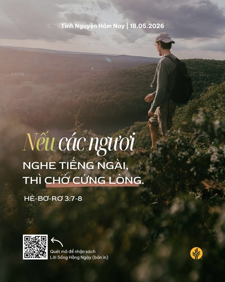 share odb 2026-05-18
