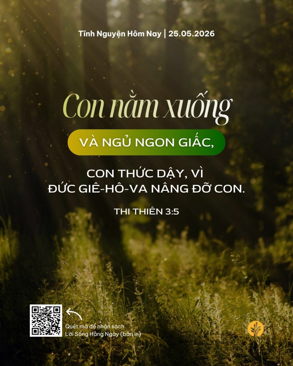 share odb 2026-05-25 share odb 2026-05-25