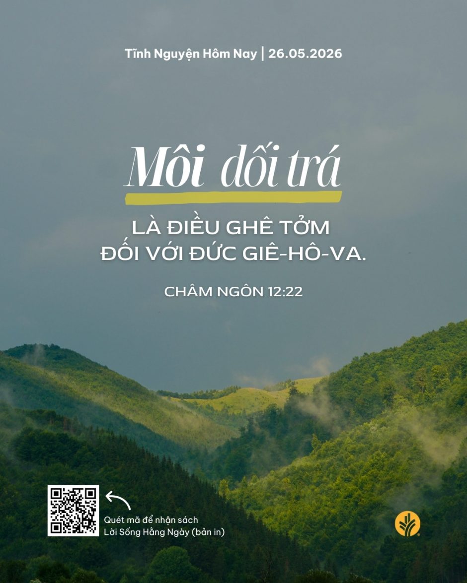 share odb 2026-05-26 share odb 2026-05-26