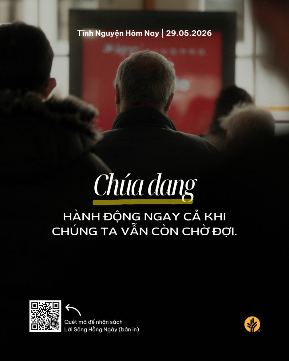 share odb 2026-05-29 share odb 2026-05-29